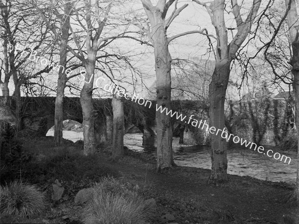 RIVER LIFFEY IN SPATE NEAR CELBRIDGE